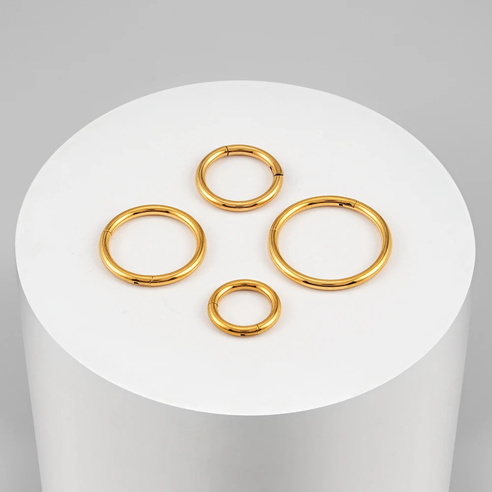 Hinged Hoop Ring | Gold & Titanium