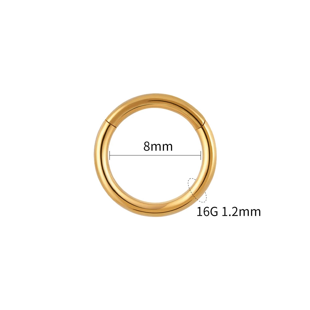 Hinged Hoop Ring | Gold & Titanium