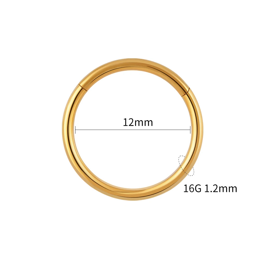 Hinged Hoop Ring | Gold & Titanium